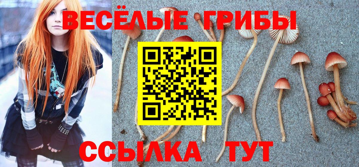 Псилоцибиновые грибы Psilocybine cubensis  Вход с VPN  Псилоцибиновые грибы Psilocybe  Урюпинск 